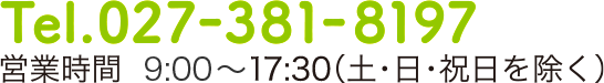 Tel.027-381-8173